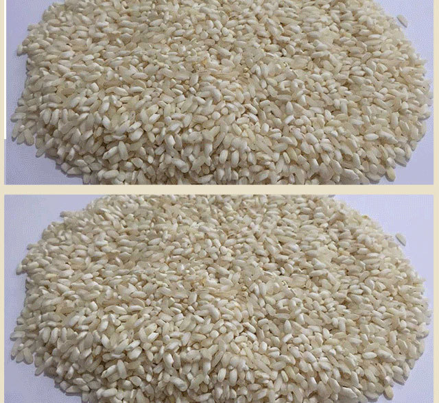 林老汉早籼米早米早稻米大米农家自产自销 50kg装 品质保.