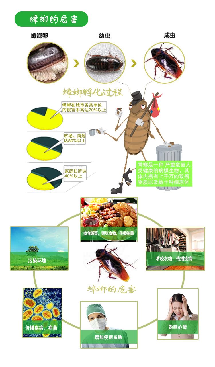 蟑螂的危害