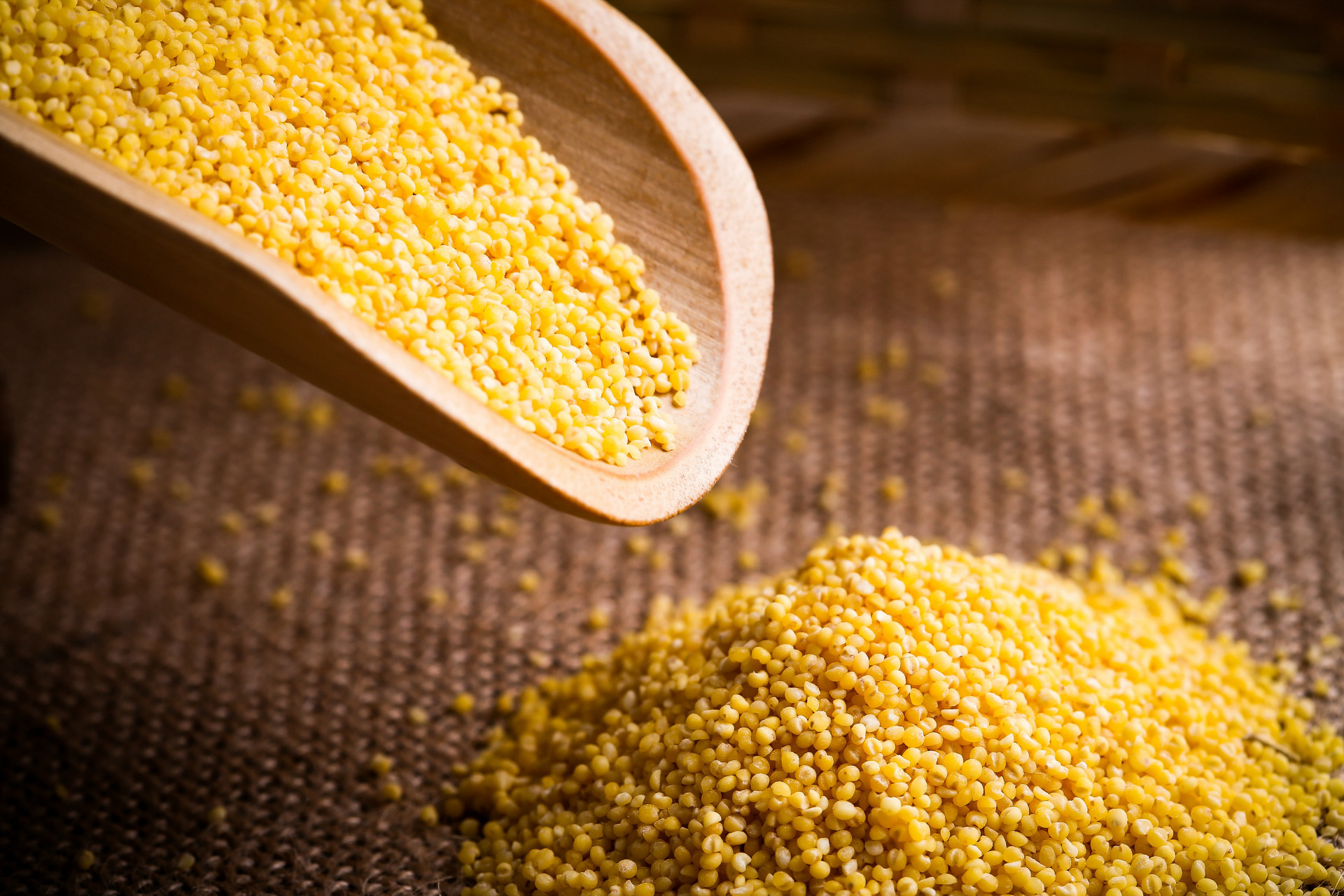 厂家批发有机认证精品粗粮 黄金苗小米 月子礼盒