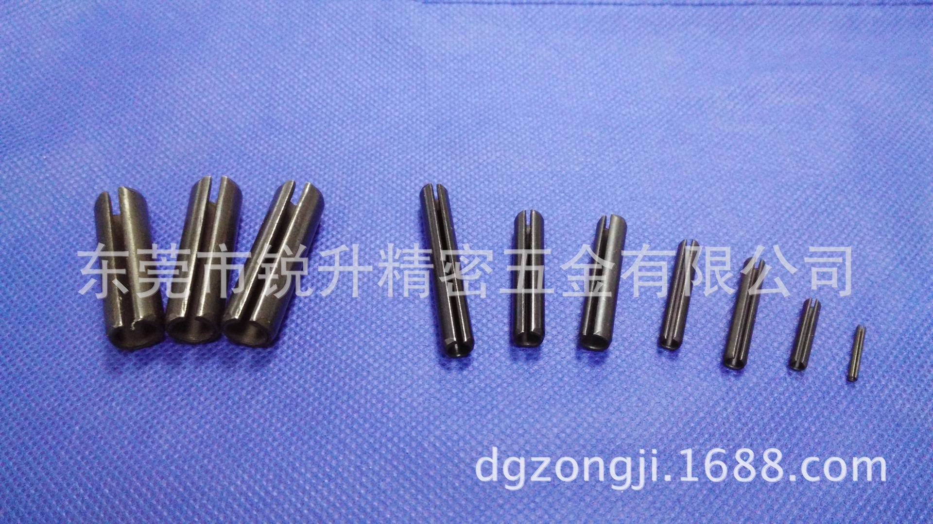 SPP1