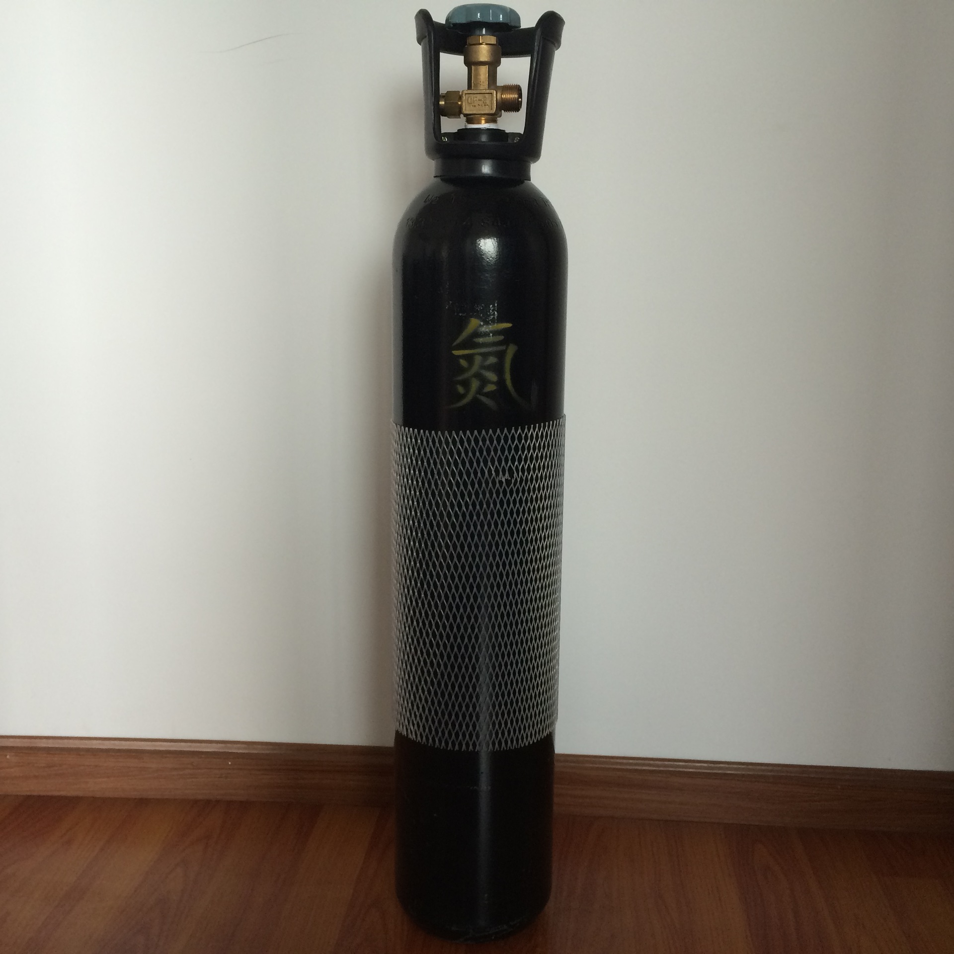 10升小型便携式氮气钢瓶 专业供应 厂家直销 量大从优 四川成都