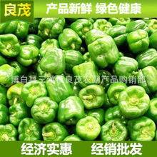 japanesejazz家庭高清图片