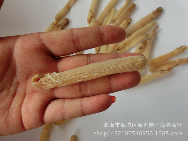 阿里巴巴批发沙虫干北海特产海鲜干货海蚯蚓
