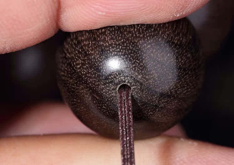 阴沉木四川金丝楠木手串乌木手串 猫眼绿料木质佛珠