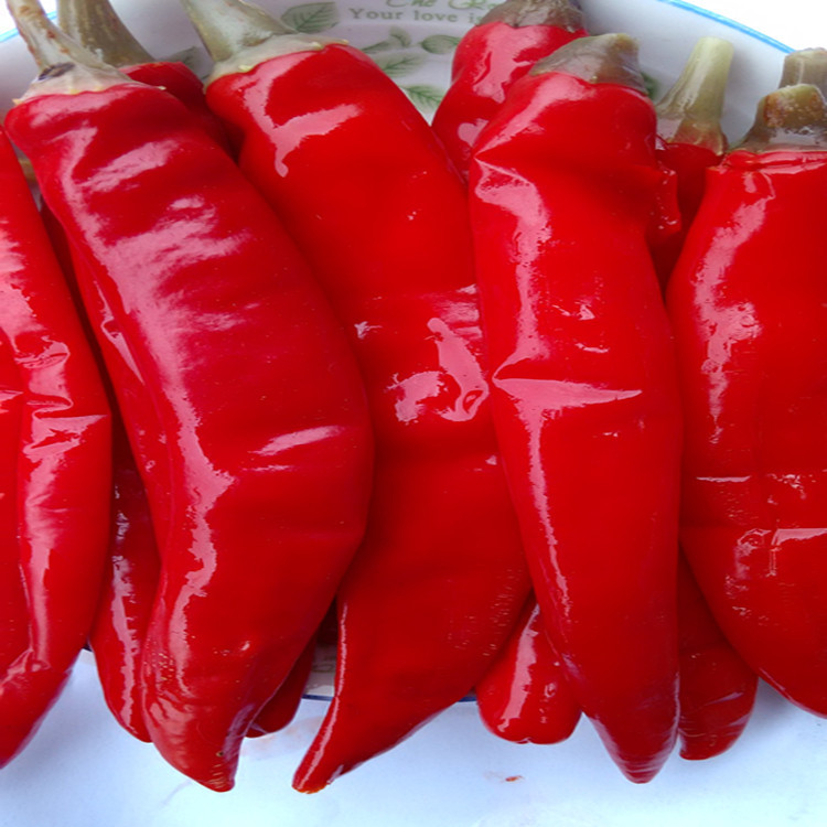 四川特产泡椒老坛泡红美人椒红辣椒泡红椒泡菜酱腌菜散装批发