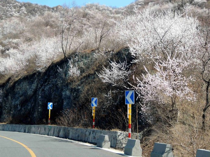 过了大名鼎鼎的神道,定陵和长陵之后,献陵村,庆陵村,裕陵村,茂陵村