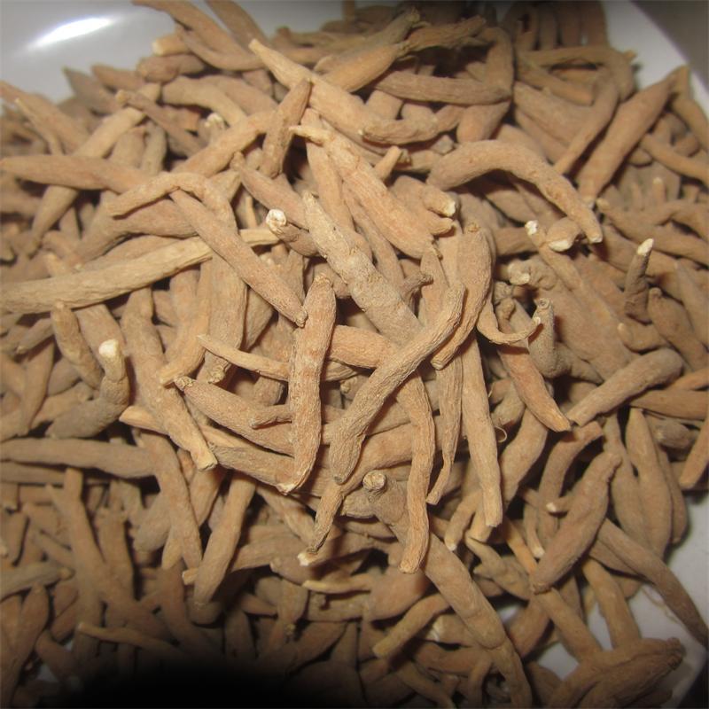 批发供应中药材 太子参 各规格