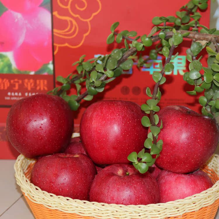 甘肃特产新鲜秦冠苹果绿色健康36枚装90mm厂家直销 量大从优