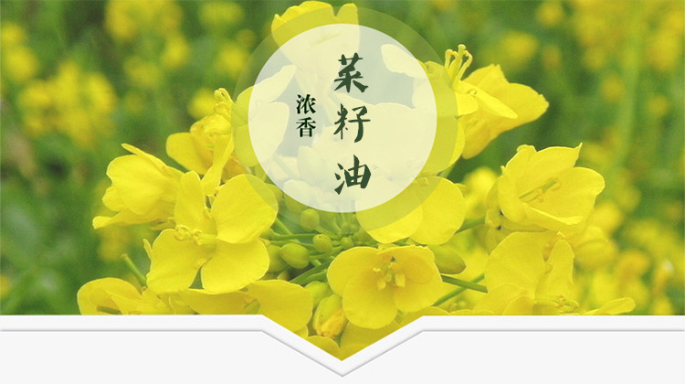 鲤鱼牌小榨浓香风味菜籽油5l
