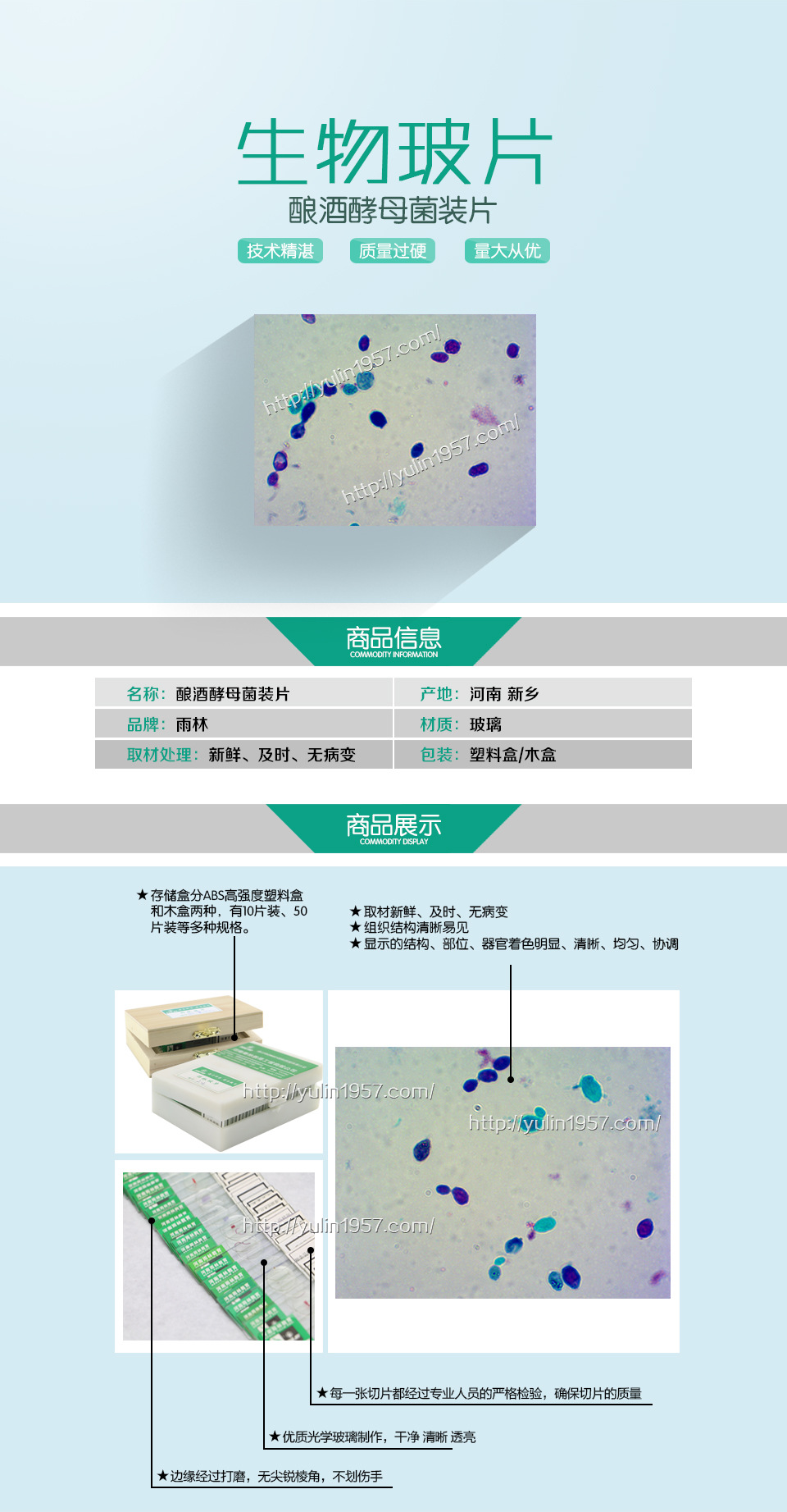 高教教学生物显微镜标本切片酿酒酵母菌装片微生物学玻片标本