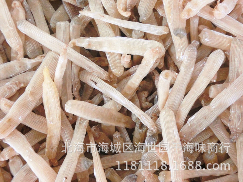 阿里巴巴批发无沙沙虫广西北海特产海产沙蚯蚓天然味精海鲜