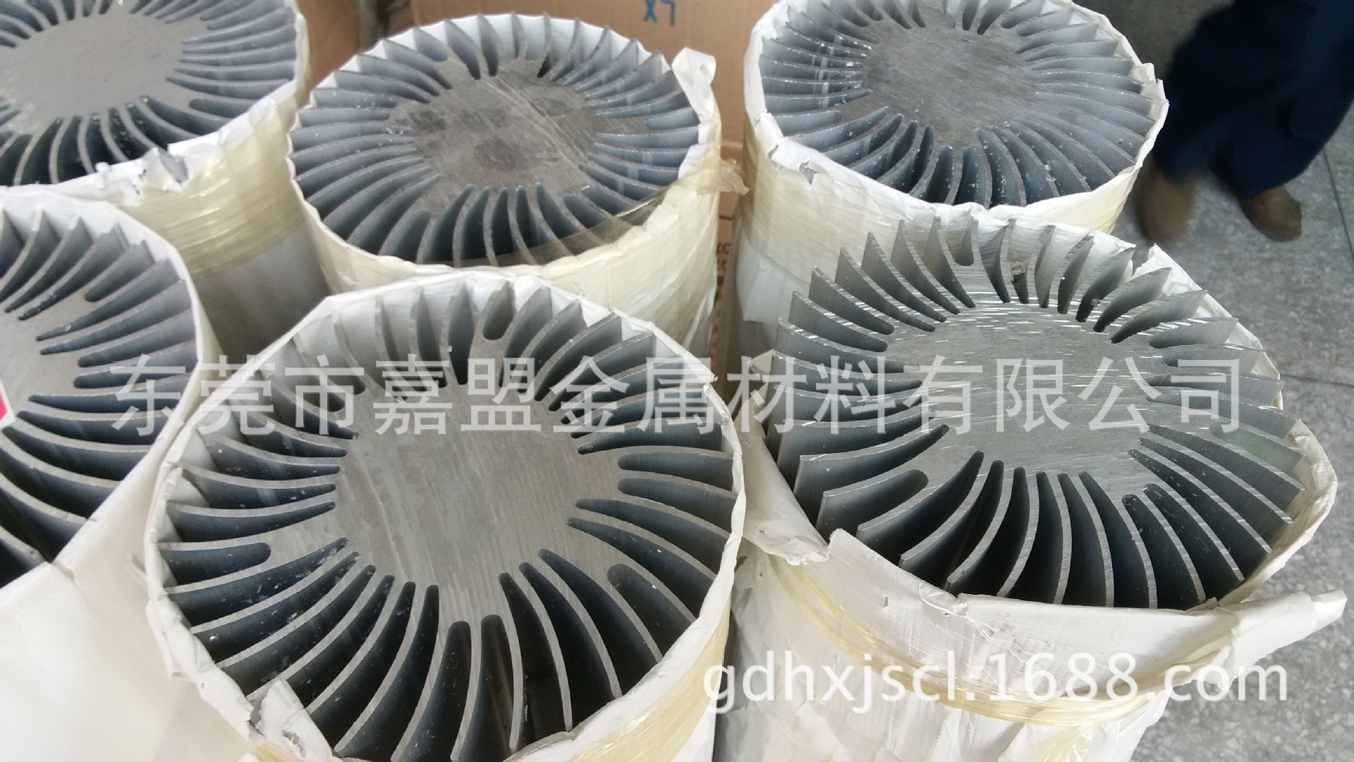 ¤Ó¶§ªá¾T«¬§÷