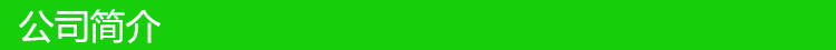 公司介绍条纹