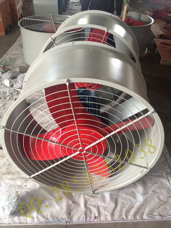 IMG_5363_副本_副本