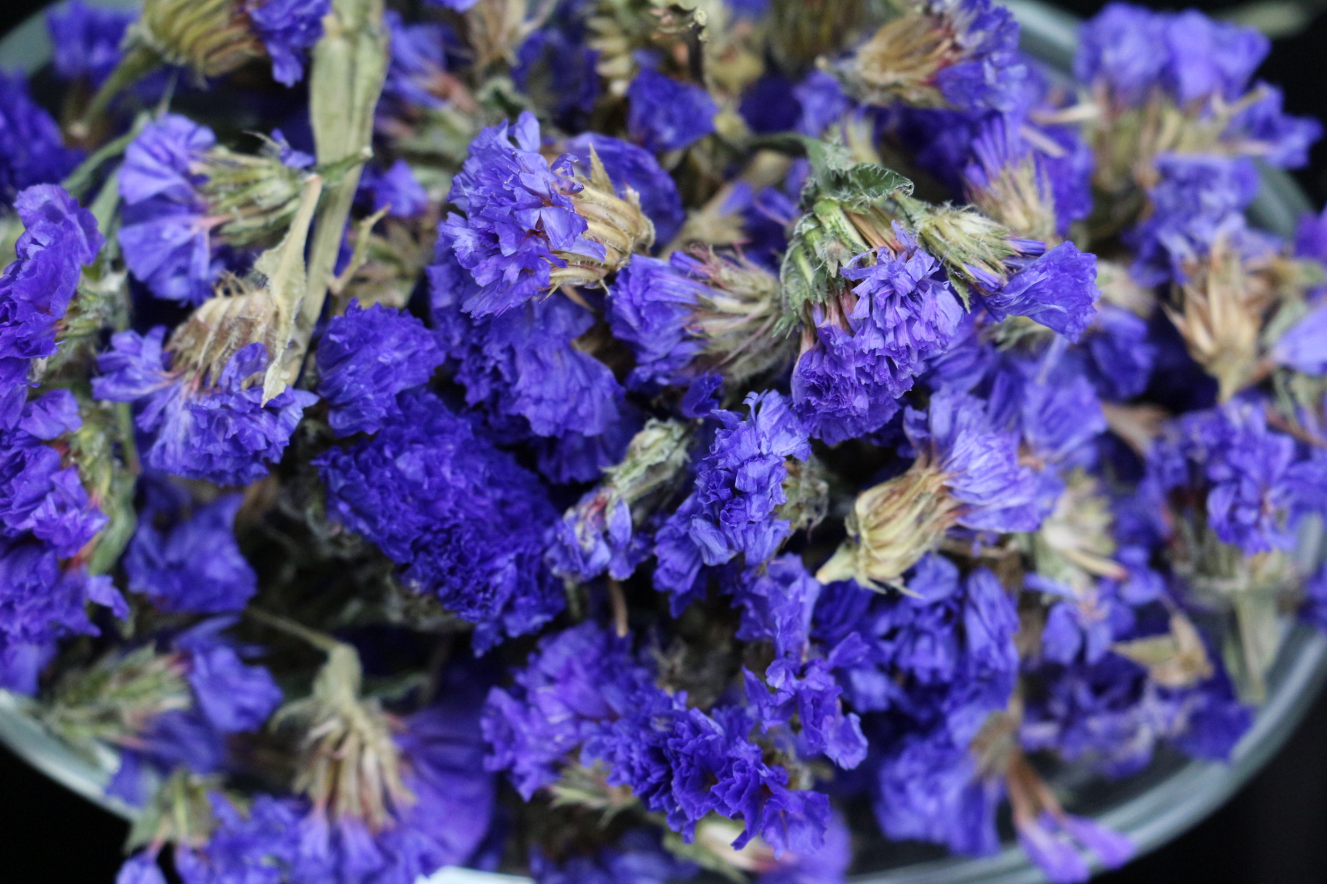 批发 勿忘我 勿忘我花茶 干燥花 装饰干花 2018新货 上枝供应