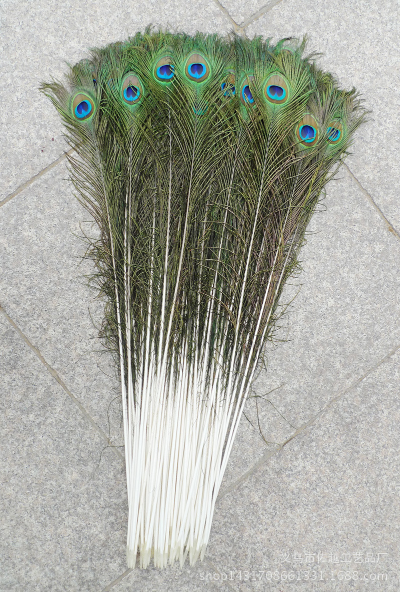 厂家供应 优质天然孔雀羽毛 家居装饰羽毛 diy装饰羽毛
