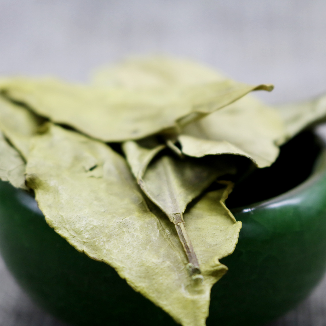 供应干橘叶 桔叶 桔子叶 橘子叶 原产地广东 批发供应