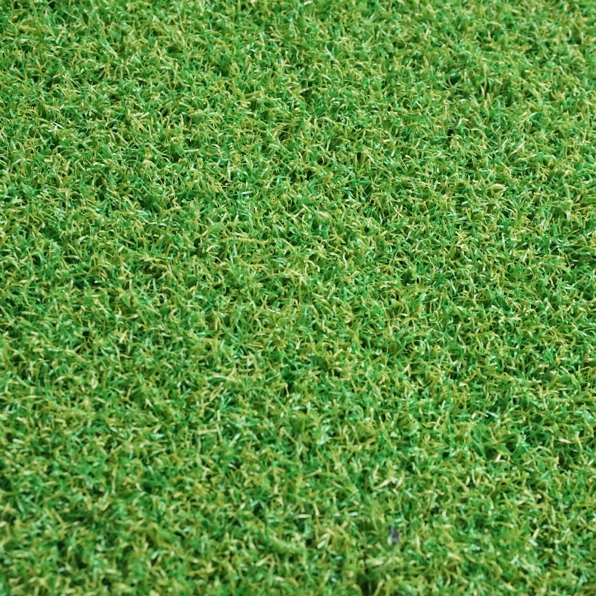 15mm门球场人造草坪wgl-5018s人工仿真草坪门球场5018s门球场假草