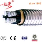 自锁铝铠装是什么意思_240铝芯铠装电缆型号_自锁铝铠装是什么意思