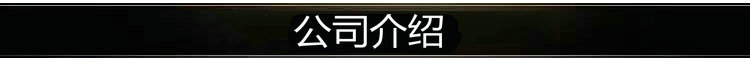 公司介绍