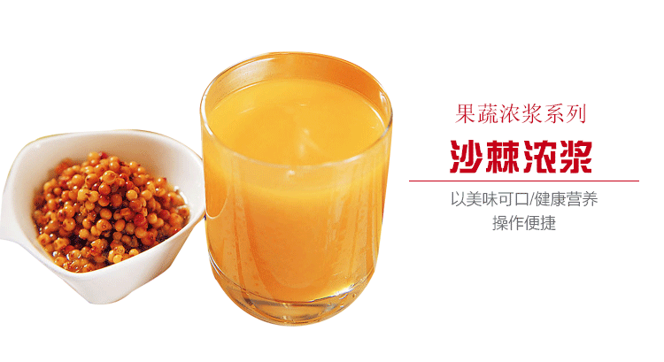 原味沙棘果汁 果汁饮料 有机食品 每瓶250ml