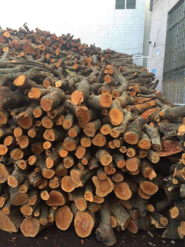 深圳荔枝柴火 无水分荔枝柴火 雕刻艺术品 可按要求加工荔枝木柴