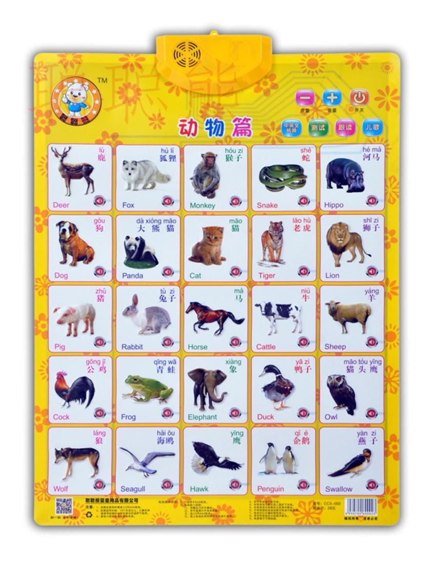 一件代发聪聪熊有声挂图 厂家直销 品质保证婴儿益智玩具 拼音篇 - 中