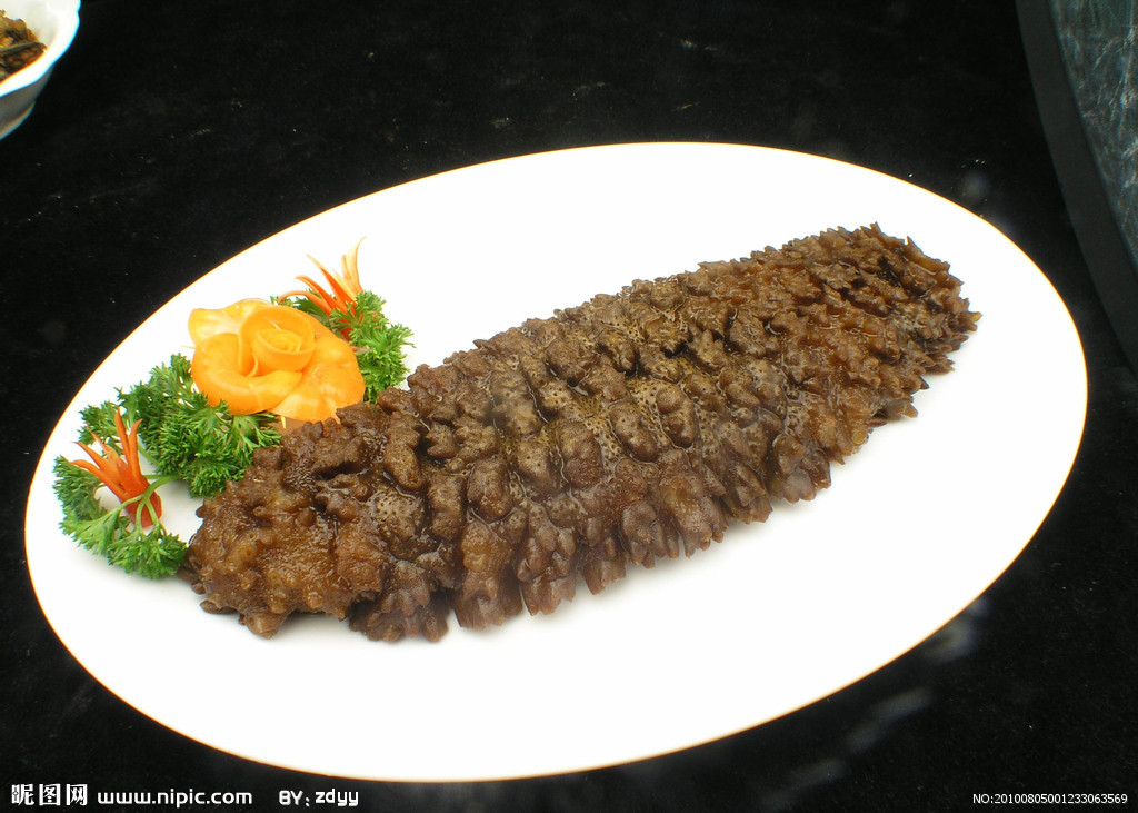 批发深海野生梅花参 一手货源 产地直供 货靓价低 火热订购.