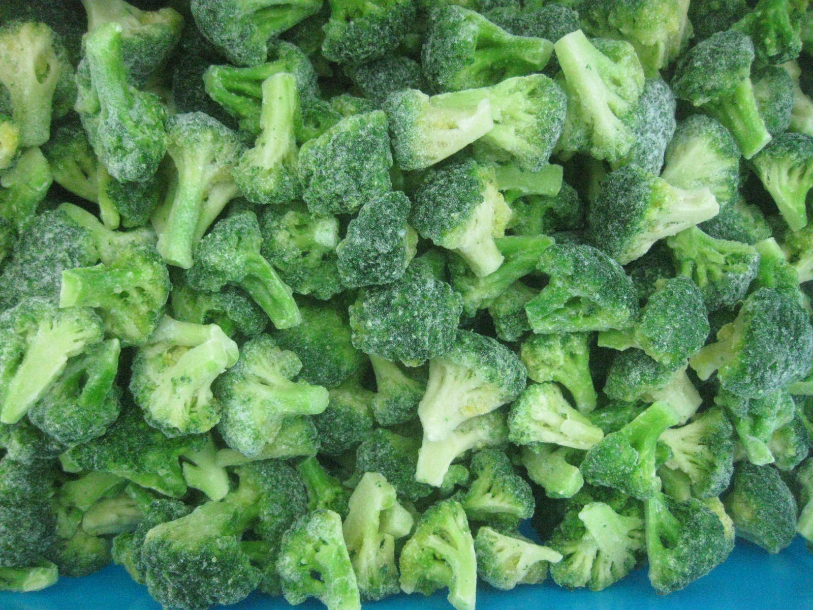 草莓产业网 草莓供应 2015年新季速冻绿花菜3-5cm 余姚市银树绿色食品