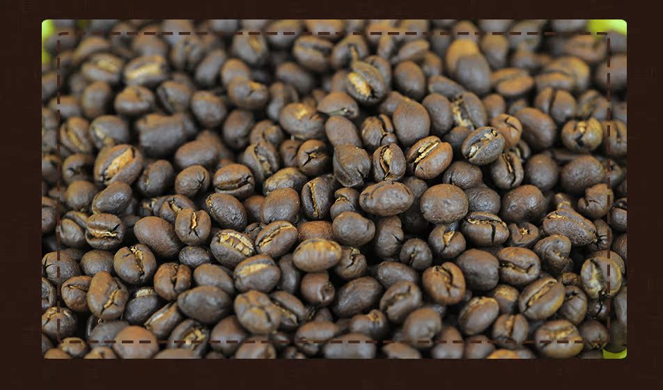 云南小粒咖啡 特级卡蒂姆豆 小粒咖啡豆卡蒂姆原豆小粒咖啡烘焙豆