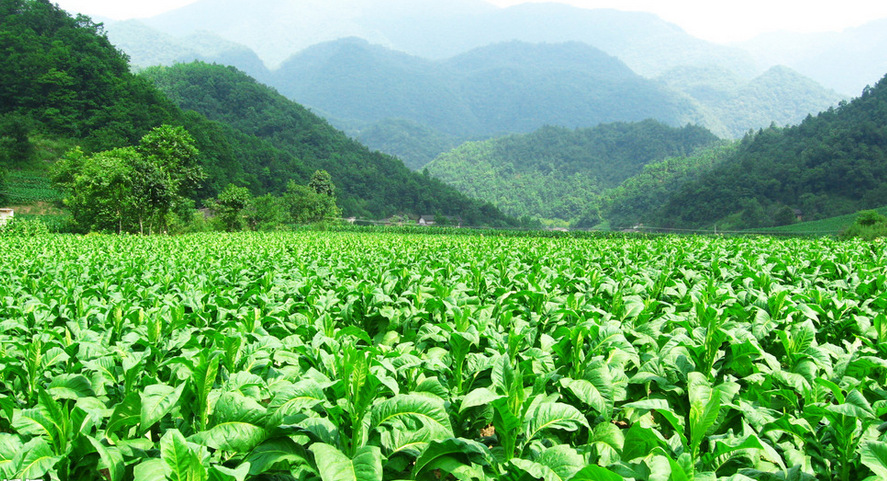 QQ圖片20151216191630