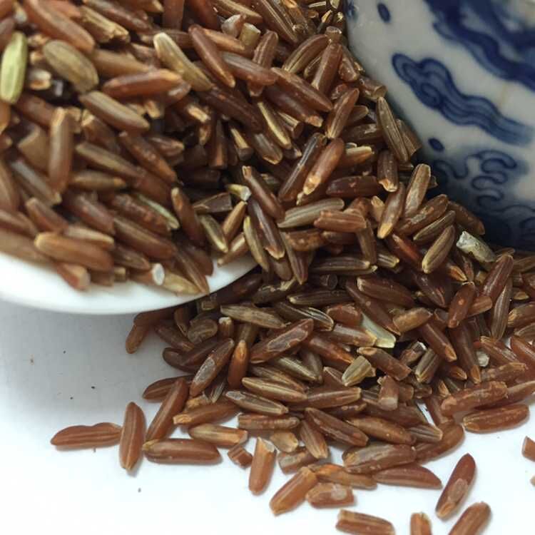 红米天然红粳米红稻米红糙米红米红大米胚芽米