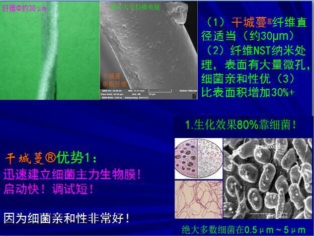 微生物填料