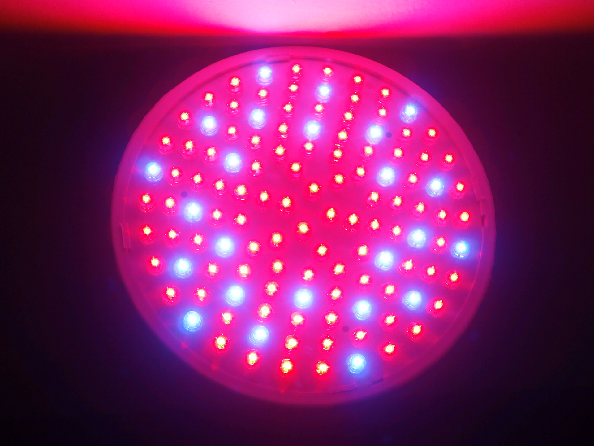 高亮草帽120珠6w植物补光灯: 红蓝比例:草帽96:24(4:1)圆头87:33 规格