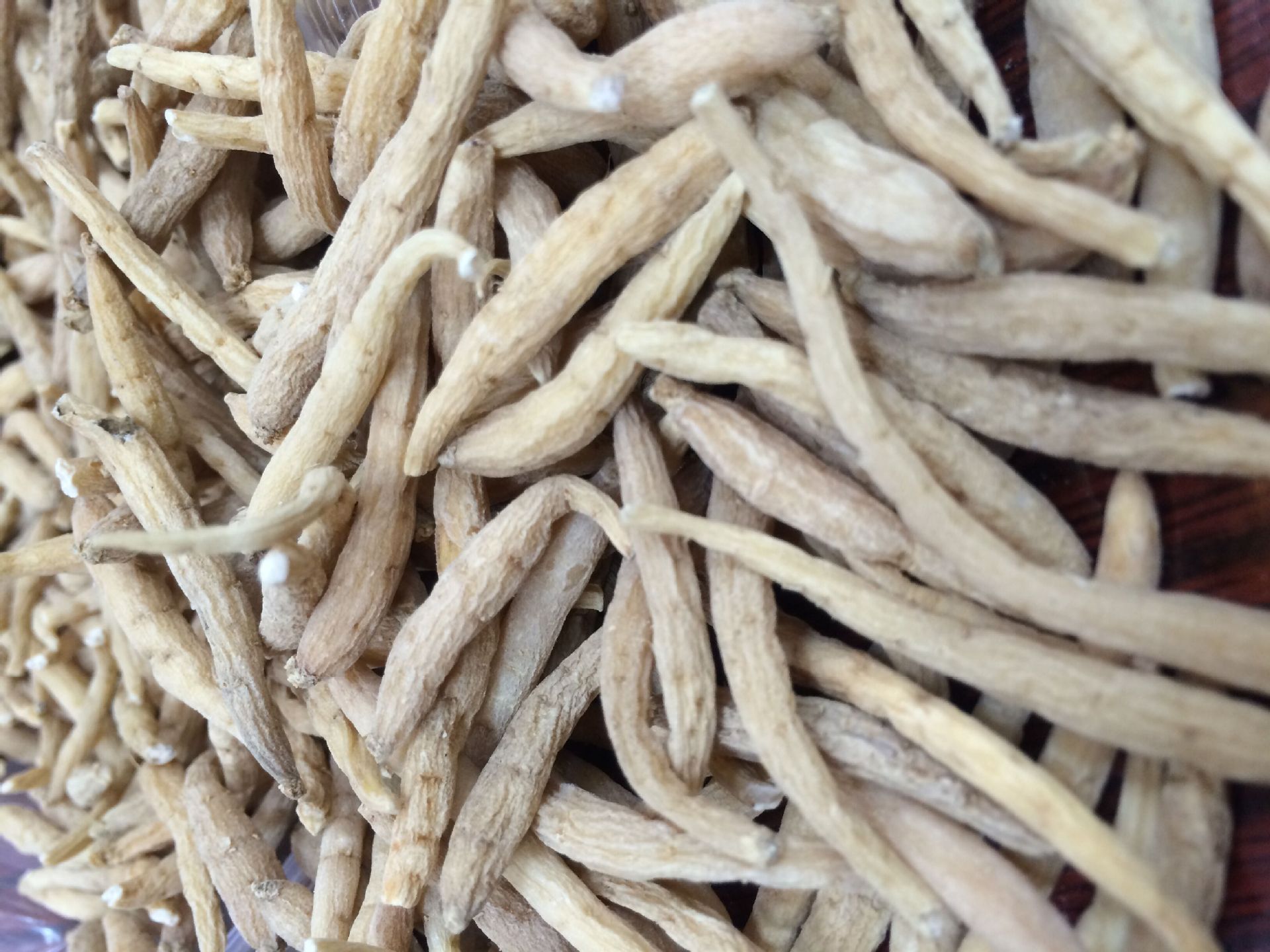 批发贵州施秉太子参散装粗条 500克 招分销代理 一件代发