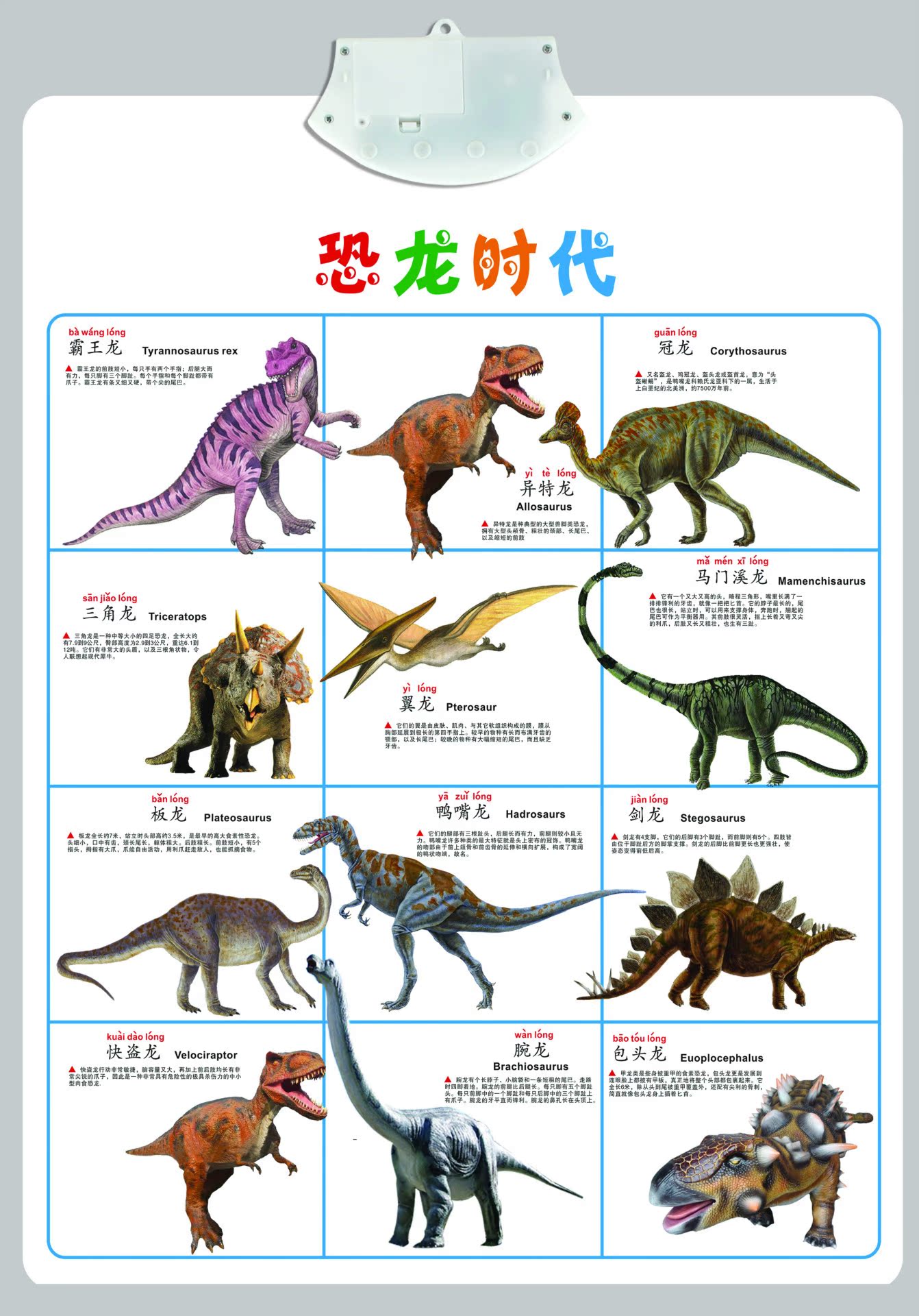 益智早教玩具_热销儿童益智早教玩具双面水晶