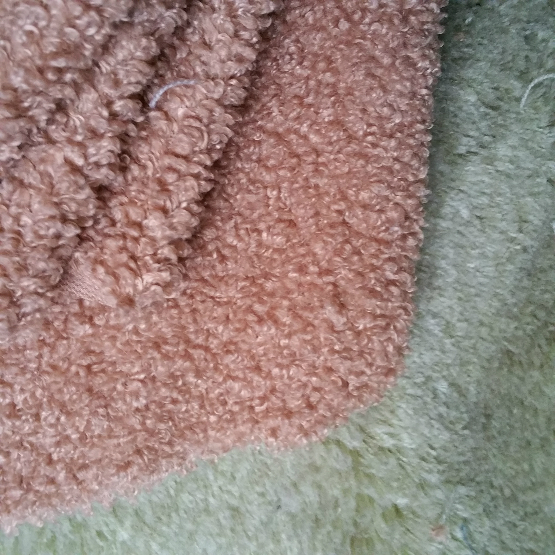 蚂蚁布全涤绵羊绒布700克棕色米白色泰迪绒面料