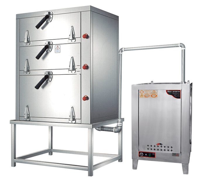 立式 挂墙蒸汽机 蒸汽发生器