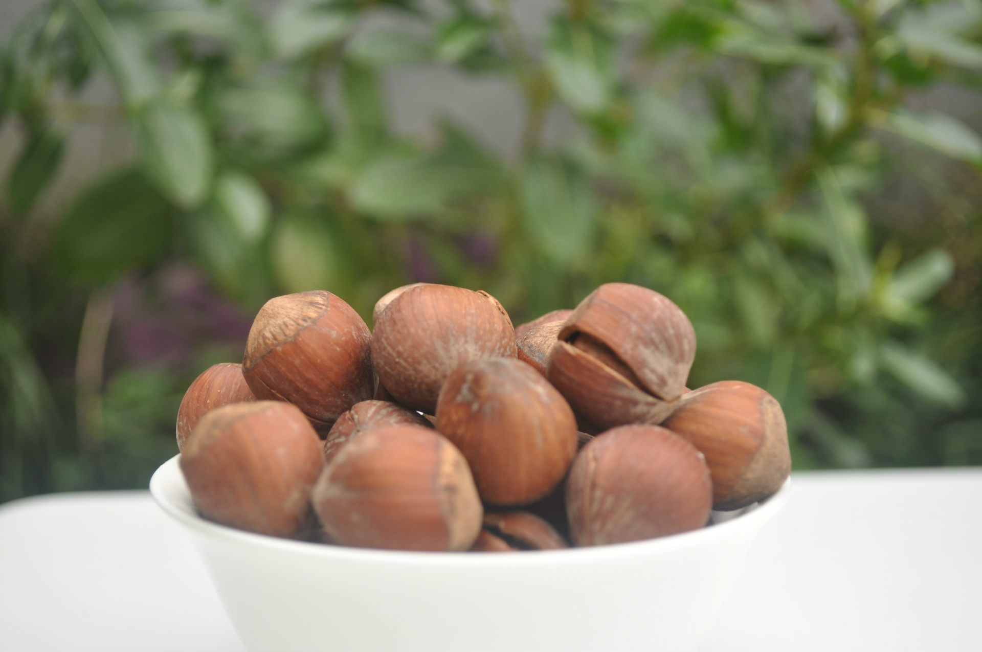 品种 尖/椭圆形榛子 等级 一级