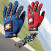 supply Bicycle motion glove Scorpion knight Riding glove Cross border Source of goods Giant scorpion glove