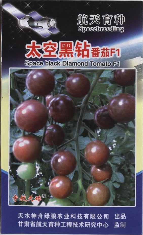 厂家批发太空樱桃番茄种子水果型小番茄蔬菜种子黑钻石