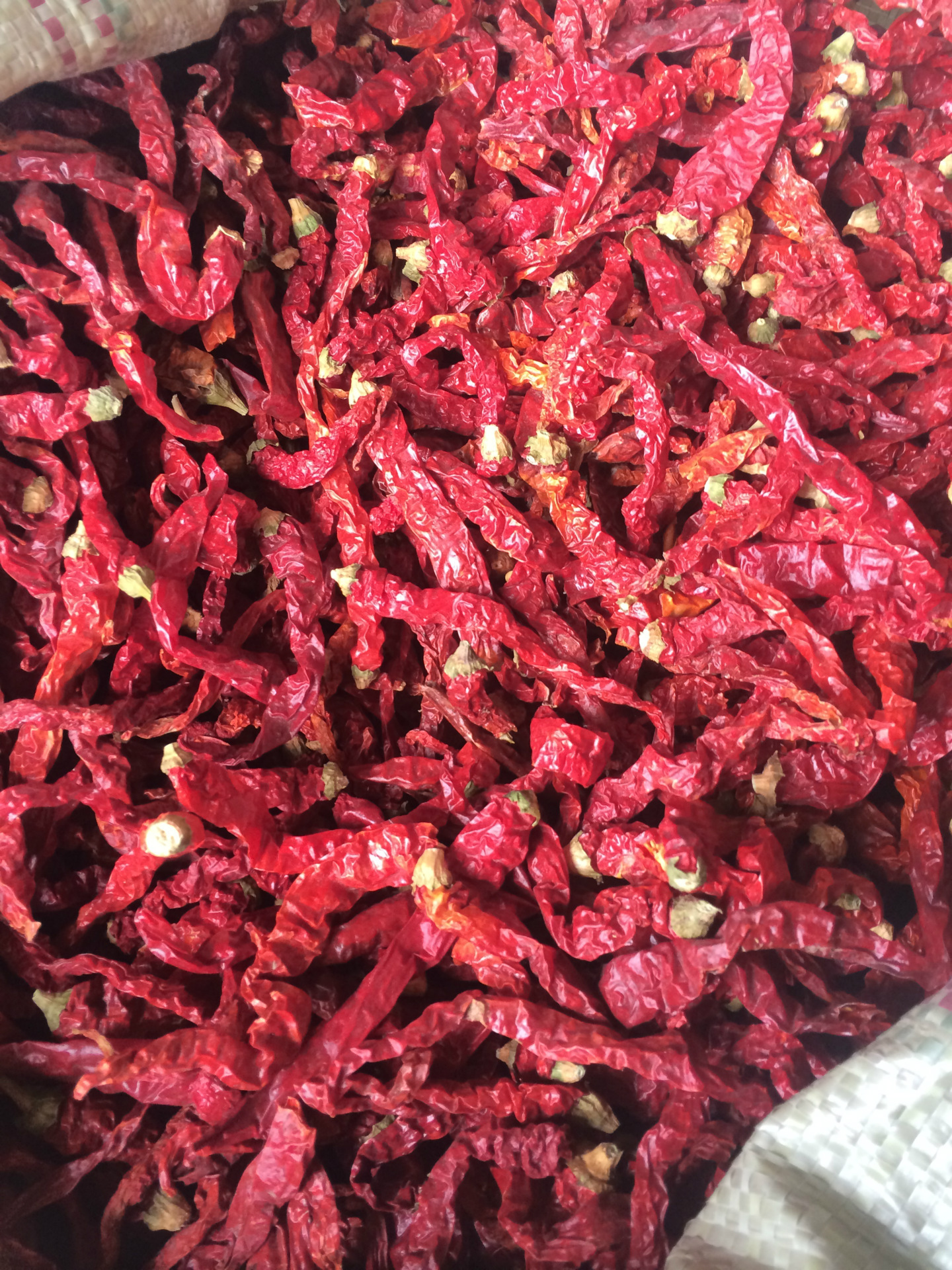 产地直销平皮二荆条干辣椒 上色的贵州二荆条 中餐火锅用辣椒