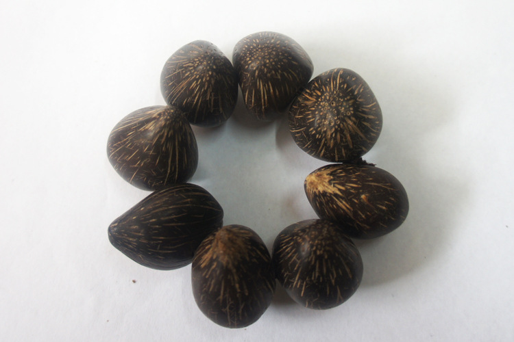 三眼金猪菩提子原籽 diy手链念珠菩提子佛珠原籽批发