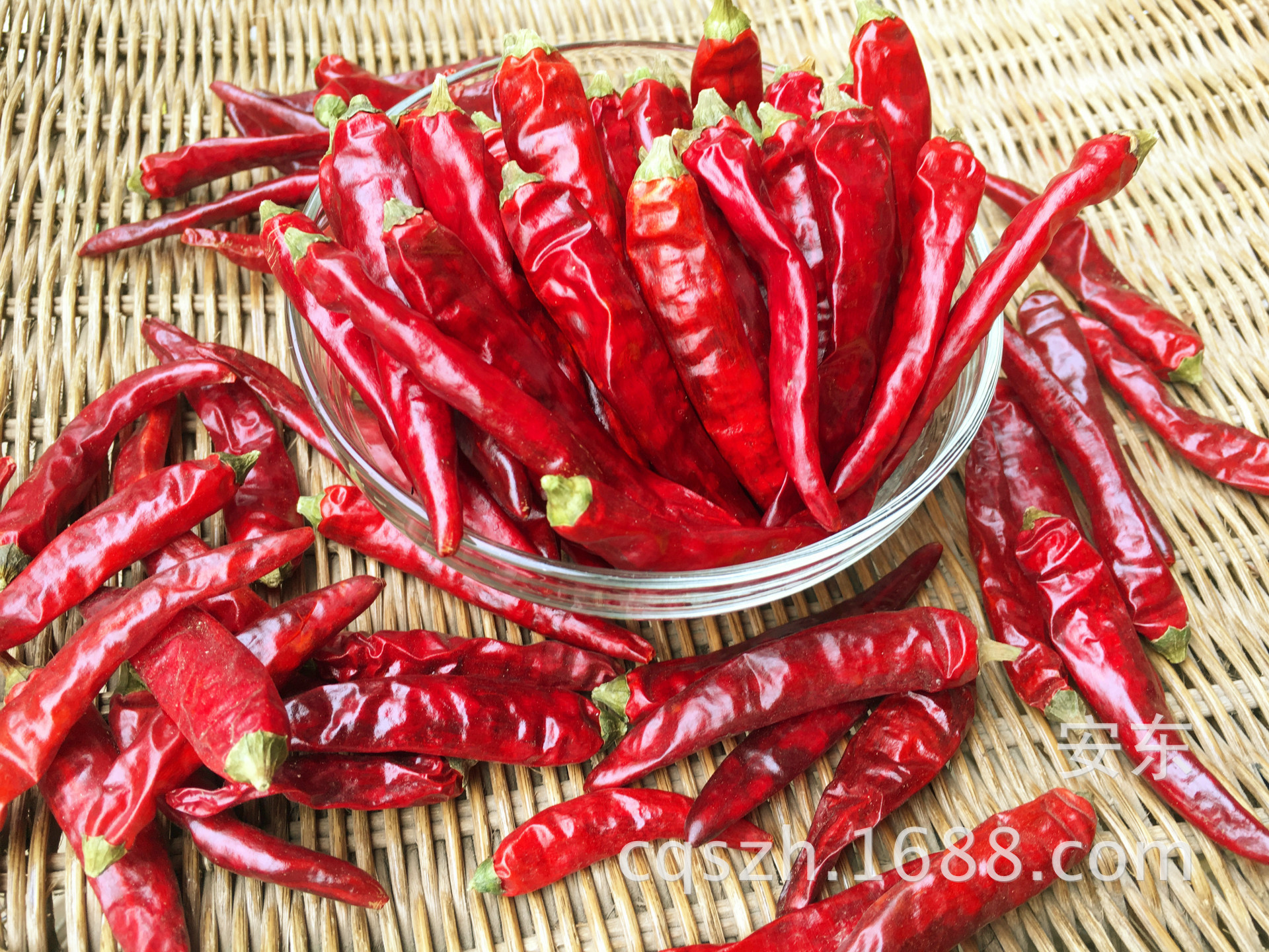 供应特香艳椒石柱红5号 香辣 耐煮 武汉鸭脖 重庆火锅专用