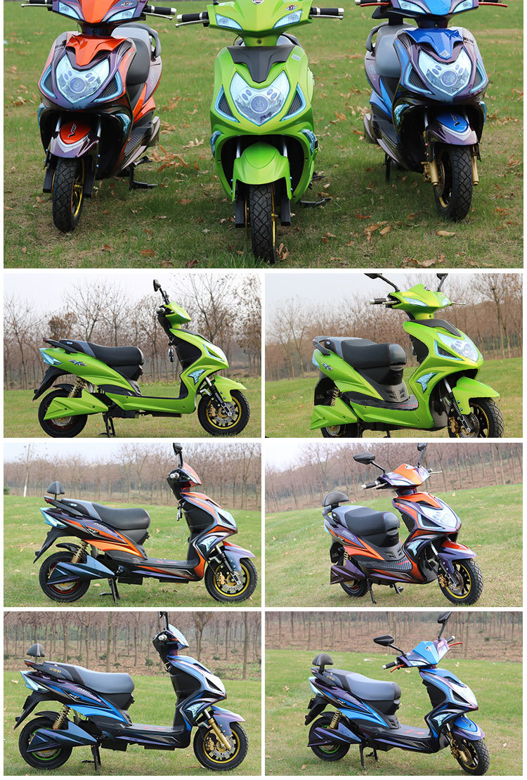 金雷豹神豹电动车大功率电摩电瓶车大电单车款电动自行车批发双碟