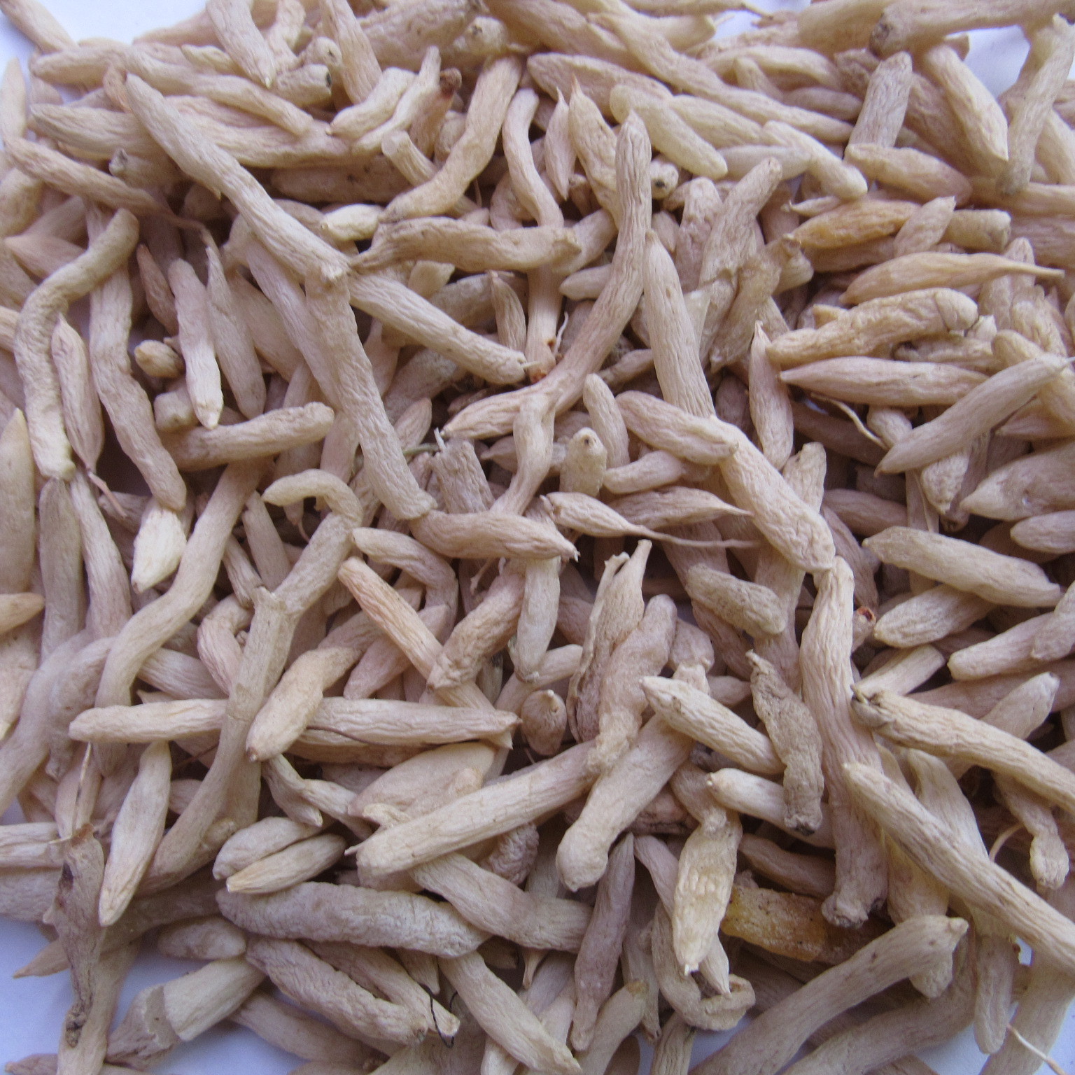 批发中药材四川麦冬特级麦冬