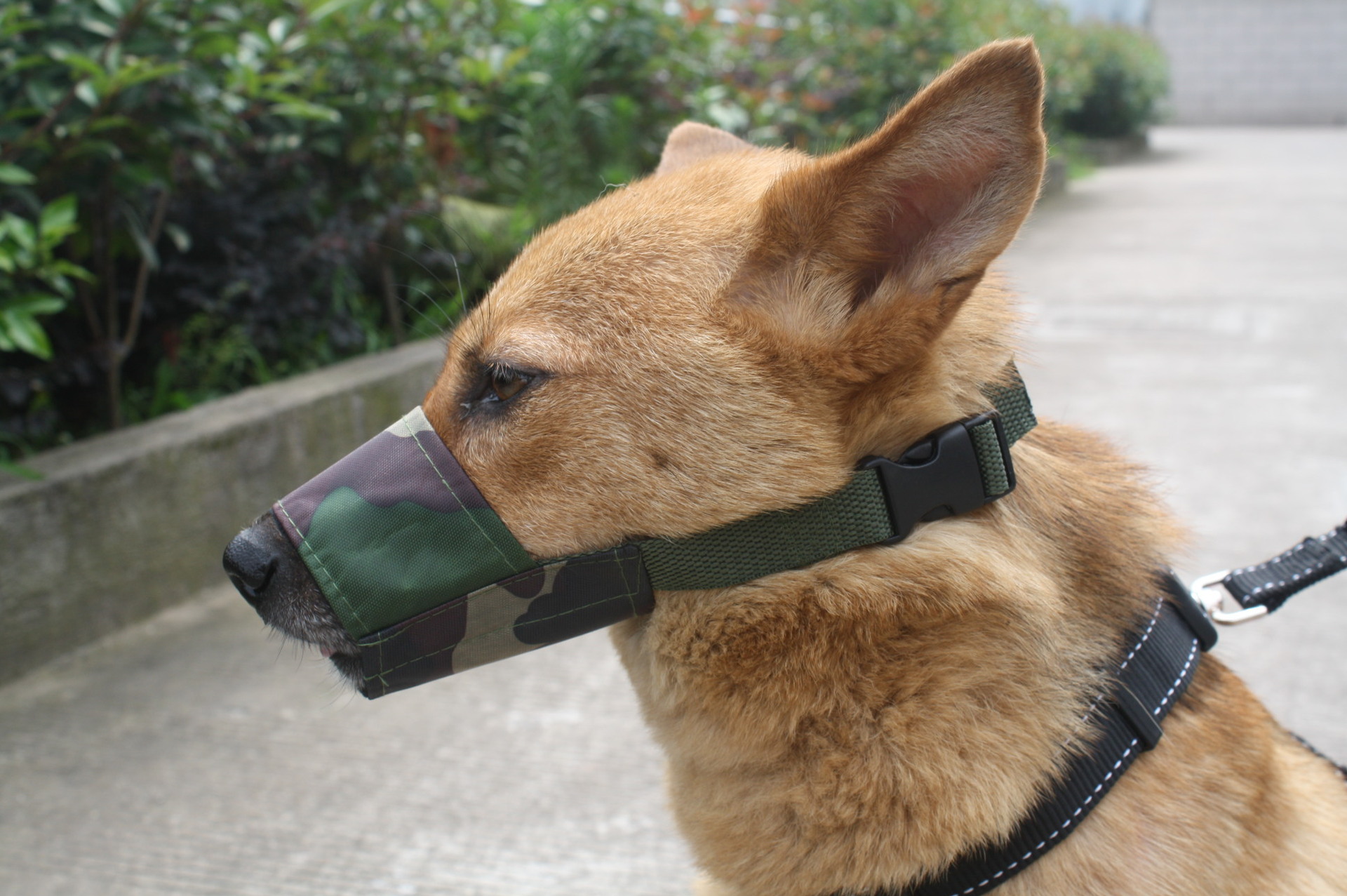 宠物用品 狗狗嘴套嘴罩 防咬防叫尼龙牛津嘴套 大中小型犬口罩