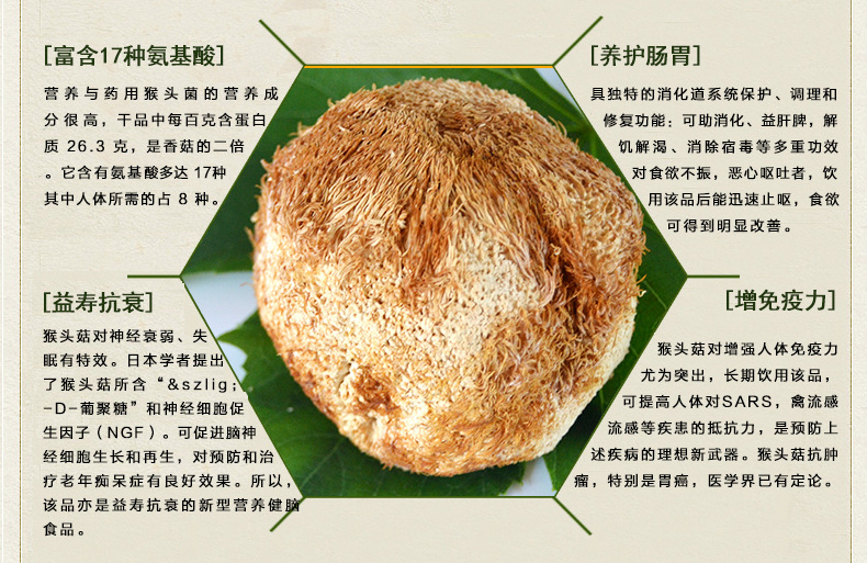 森情 猴头菇散装盒装 东北特产 黑龙江有机绿色食品-杏鲍菇交易网