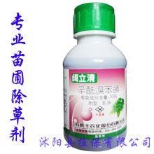 大蒜苗价格_今日最新大蒜苗价格行情走势 - 阿