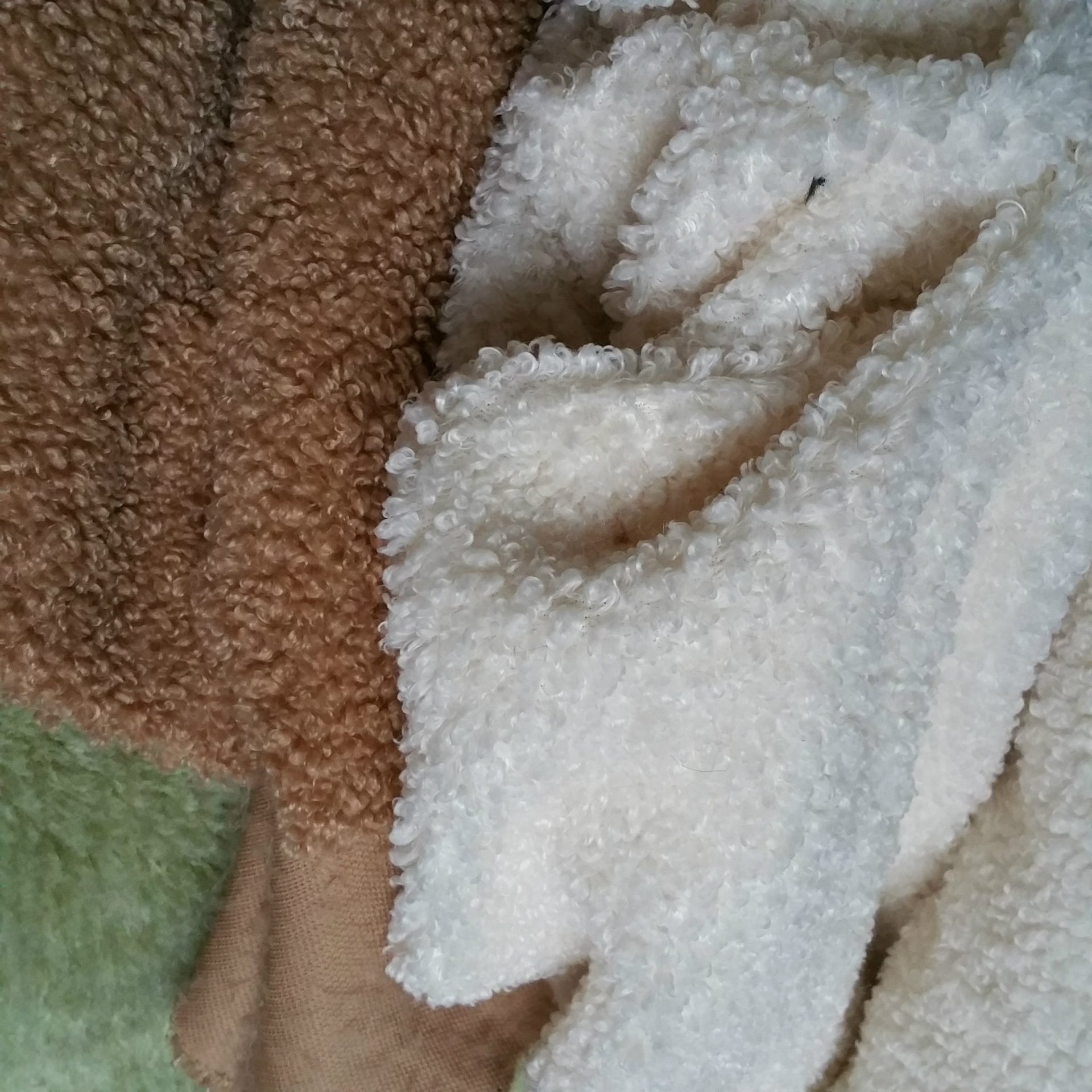 蚂蚁布 全涤绵羊绒布 700克 棕色 米白色 泰迪绒面料 - 布艺批发交易